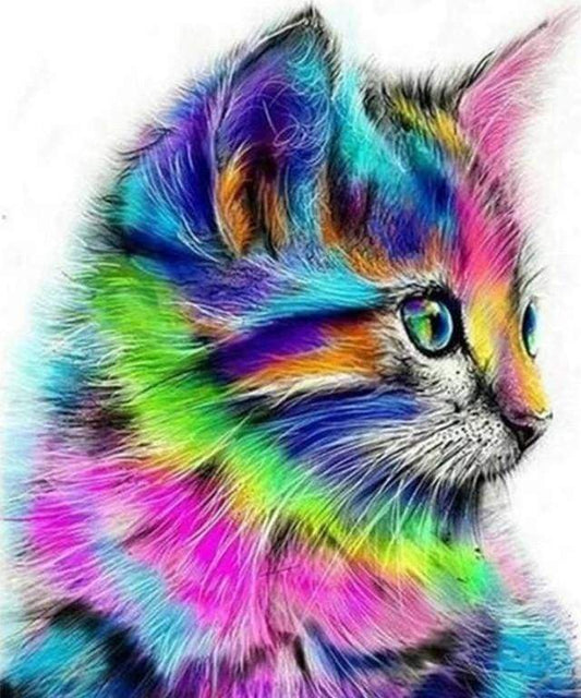 Colorful Kitten Diamond Painting Free Shipping - Diamonddazz